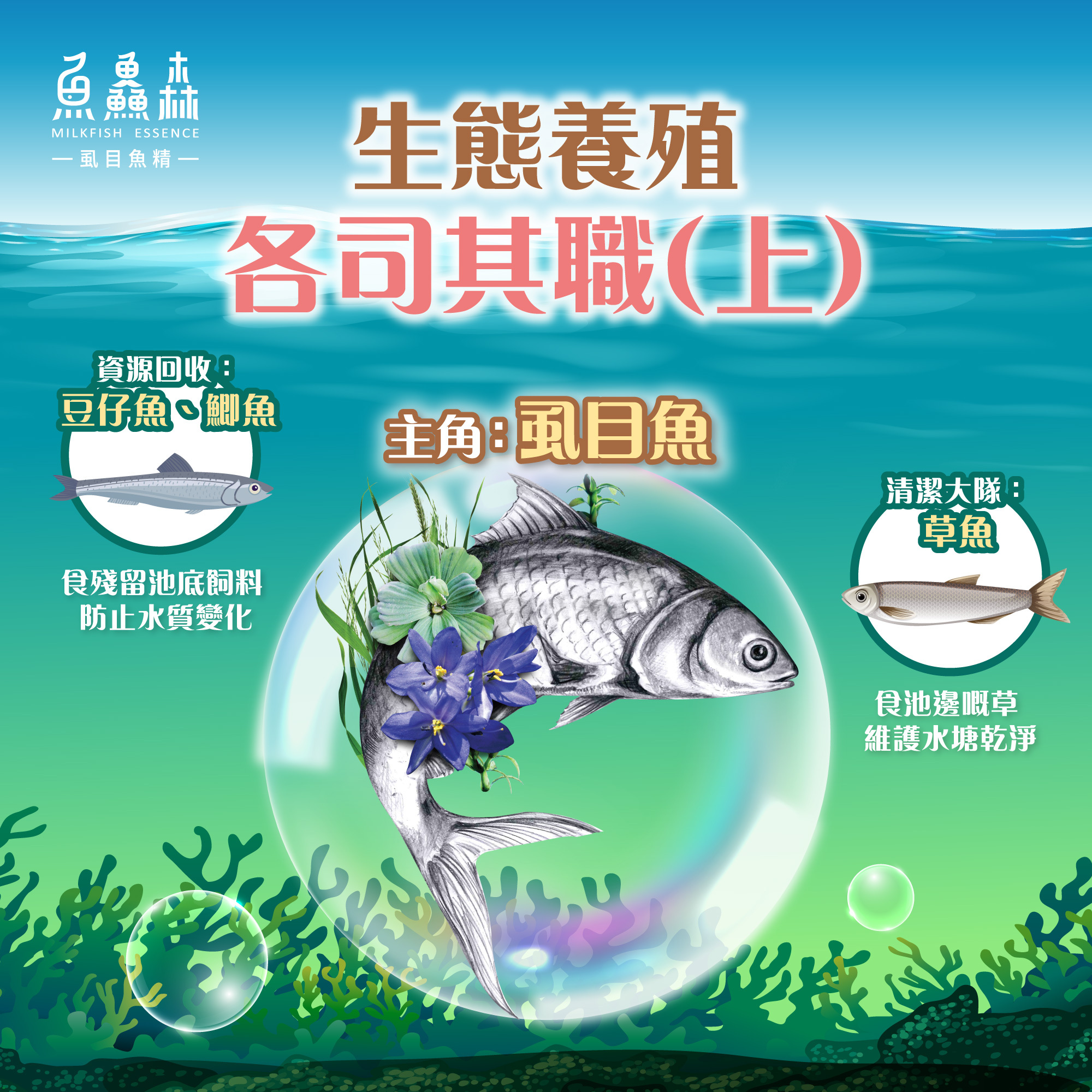 【生態養殖 工作魚介紹】